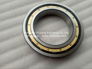 Deep groove ball bearing  6036M