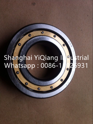 FAG single row self-aligning roller bearing 20205M，20206M