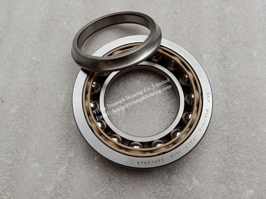 Cylindrical Roller Bearing  BVN7107B