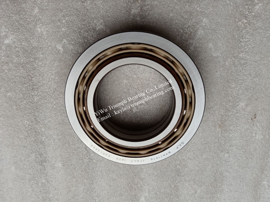 Cylindrical Roller Bearing  BVN7107B