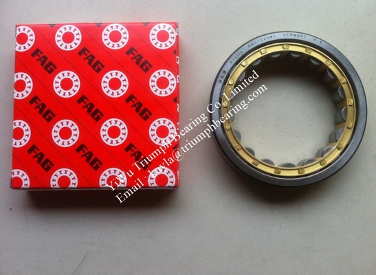 FAG  Cylindrical Rolller Bearing  RNU1020M1