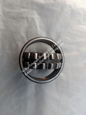 FAG  Self-Aligning Roller Bearing  22206E1-XL