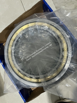 FAG  Cylindrical Roller Bearing NU1038-XL-M1-C3