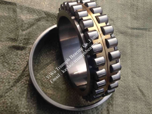 NSK  Cylindrical Roller Bearing NN3020KCC1P4
