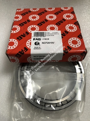 FAG  Single Row Full Complement Cylindrical Roller Bearing  NCF2919V