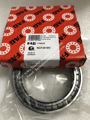 FAG  Single Row Full Complement Cylindrical Roller Bearing  NCF2919V