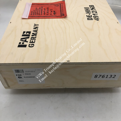 FAG Single Row Cylindrical Roller Bearing  NJ2240-E-M1-C3
