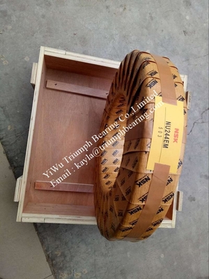 NSK  Cylindrical Roller Bearing   NU244EM