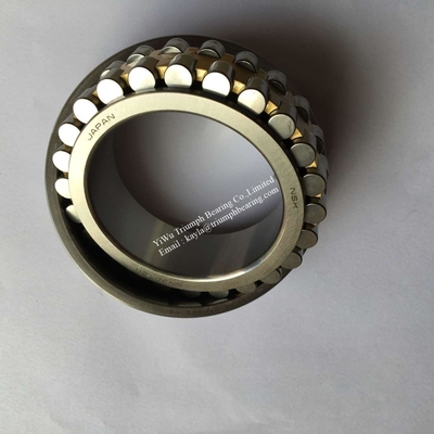 NSK Double-Row Cylindrical Roller Bearing  NN3012TKRCC1P4