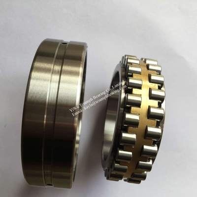 NSK Double-Row Cylindrical Roller Bearing  NN3012TKRCC1P4