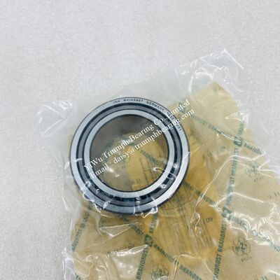 INA Combined Needle Roller Bearing  NKIA5907