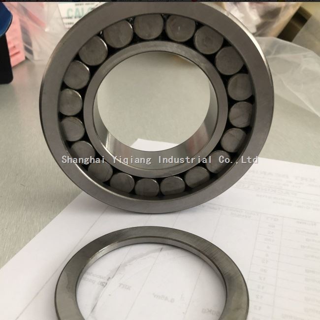INA Cylindrical Roller Bearing F207407.2 for Printing Machine