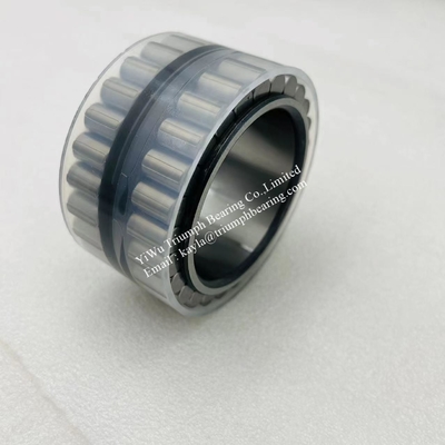 INA Double Row Cylindrical Roller Bearing ,without Cup , F-208101.RNN