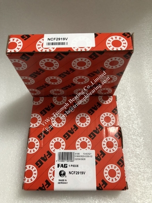 FAG  Single Row Full Complement Cylindrical Roller Bearing  NCF2919V