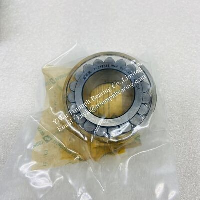 INA  Double -Row Full Complement Cylindrical Roller Bearing   F-217615.RNN