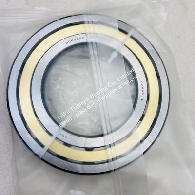 NSK Cylindrical Roller Bearing  NUP226EMC2
